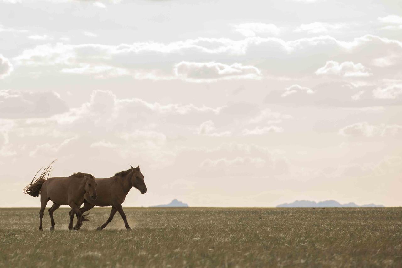 Gobi Mirage Lodge Dalandzadgad Экстерьер фото